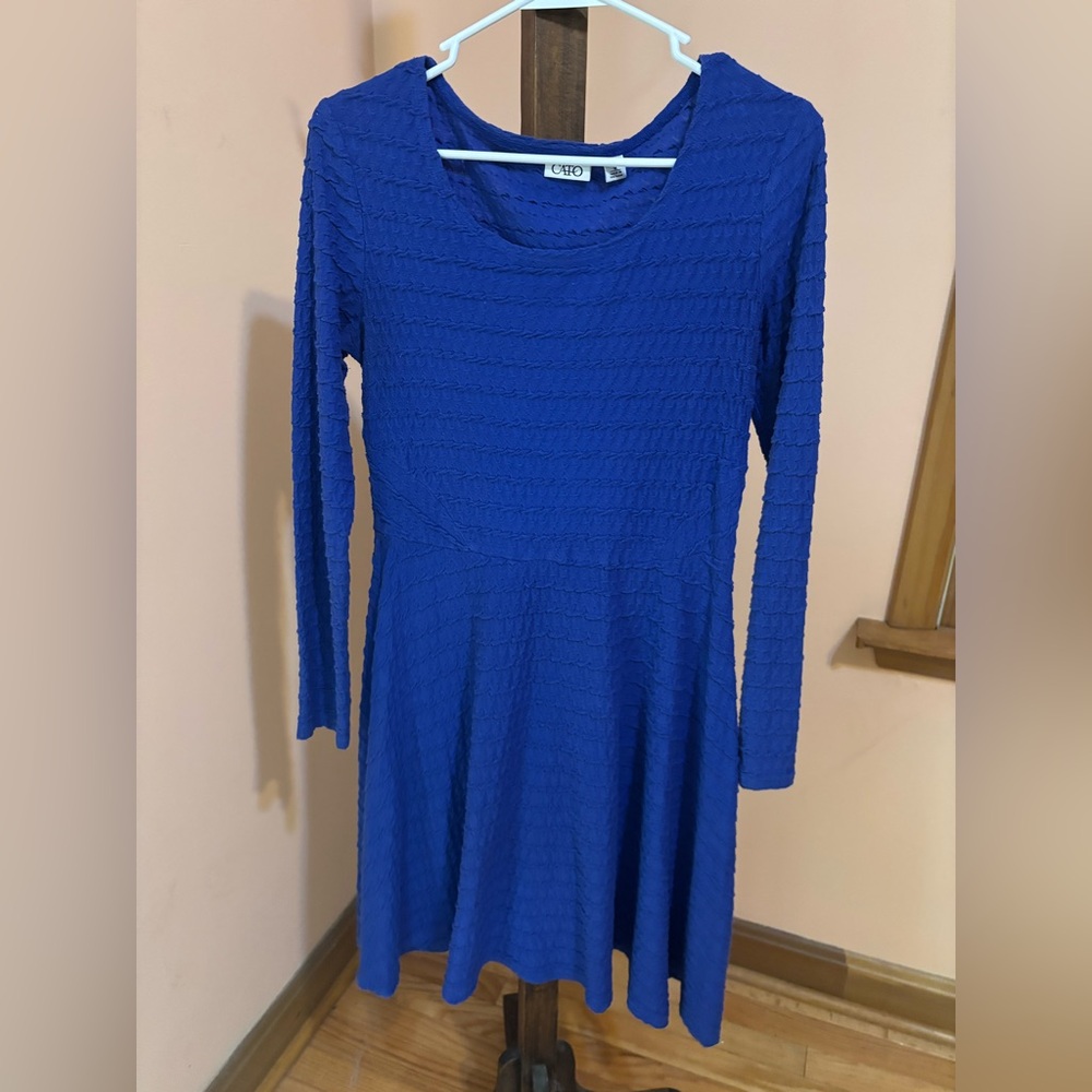 Royal Blue Textured Dress